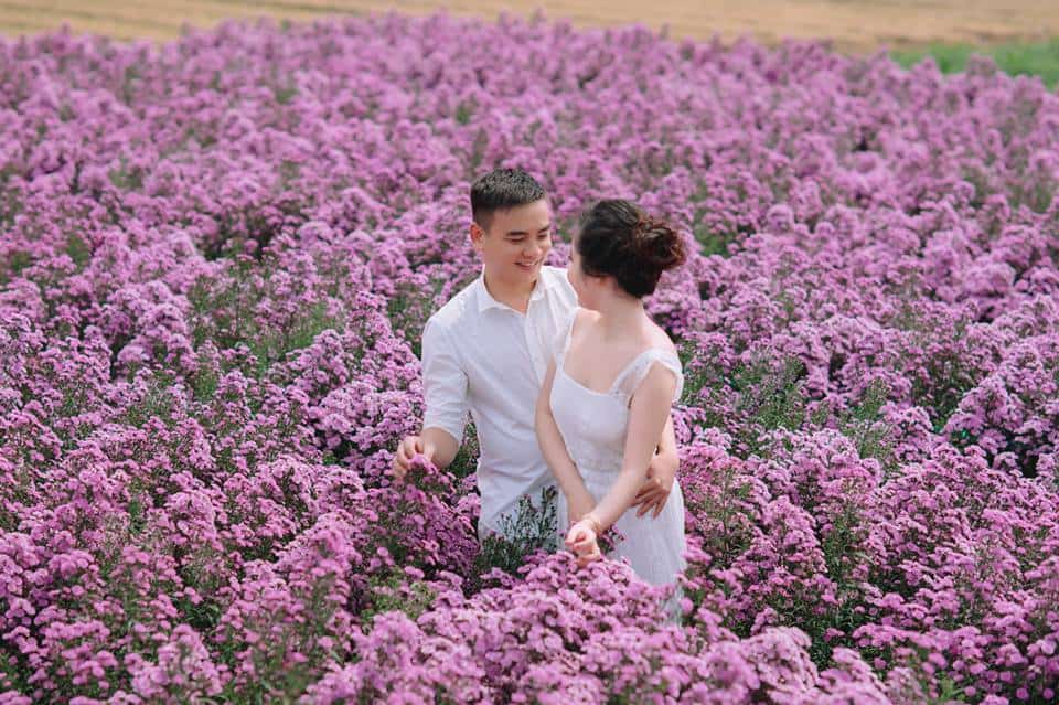 Nắm tay nhau mình băng qua cánh đồng hoa "ngọt lịm" cùng lưu lại khoảnh khắc tuyệt đẹp của chúng ta