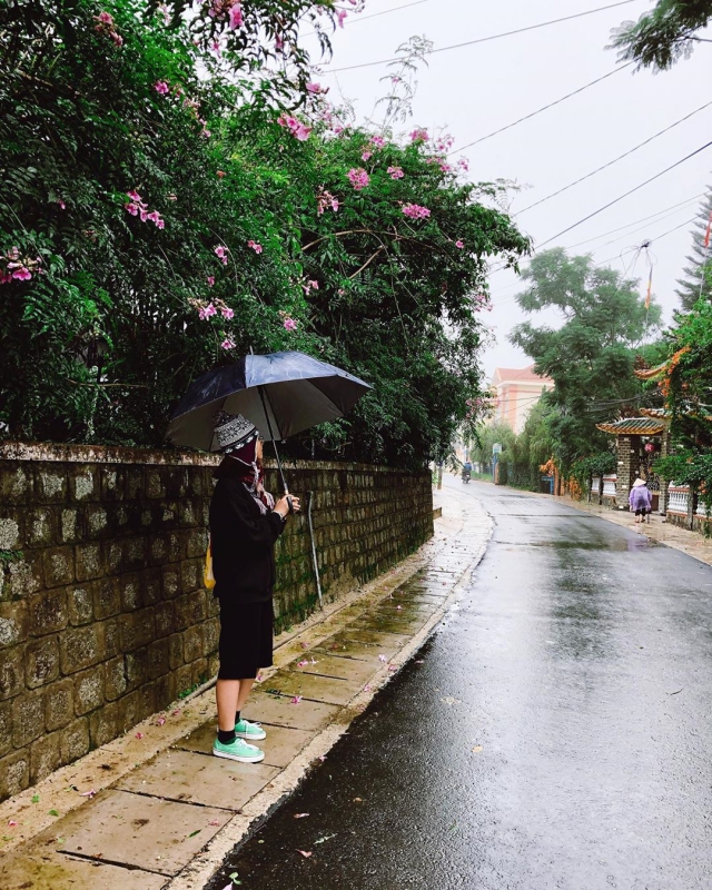 Cơn mưa phùn tháng 11 tại Đà Lạt. Ảnh: Internet