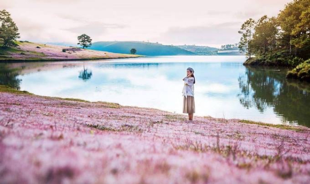Khung cảnh như trời Tây giữa đồi cỏ hồng, hồ nước xanh ngắt. Ảnh: Internet