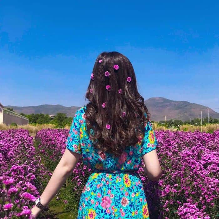 Nắng lên check in địa điểm siêu xinh với background tuyệt vời ở vườn hoa thạch thảo Vũng Tàu
